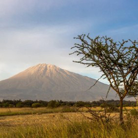 The dormant cone of Mount Meru dominates the skyline above grass and bushland, Tanzania, Africa.