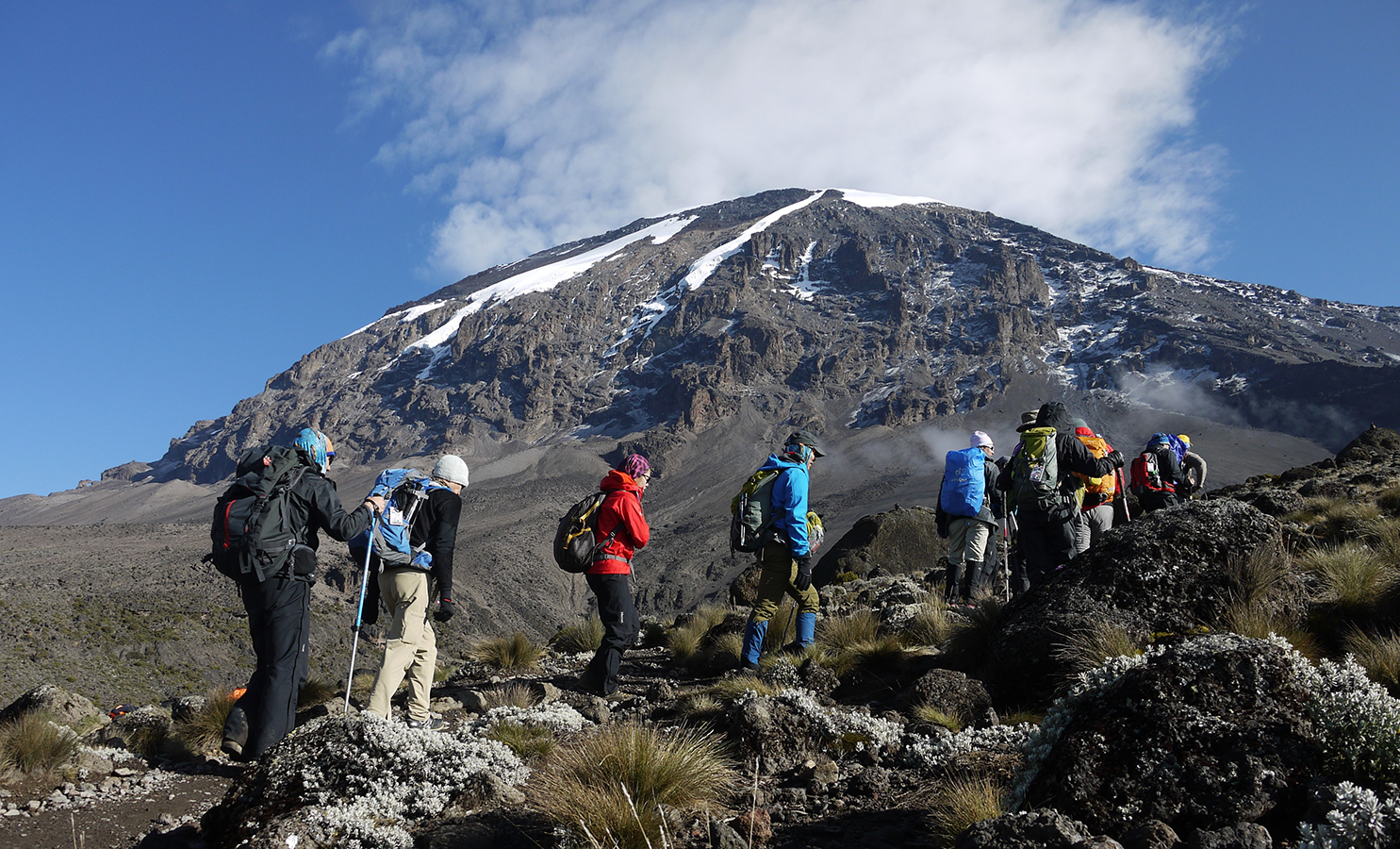 A team climbs through the alpine zone towards the summit of Kilimanjaro