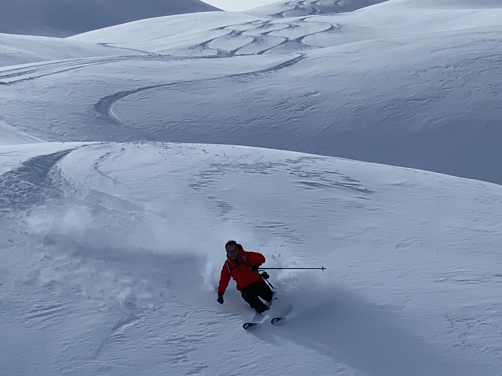 Fresh turns! A skier revels in fresh powder.