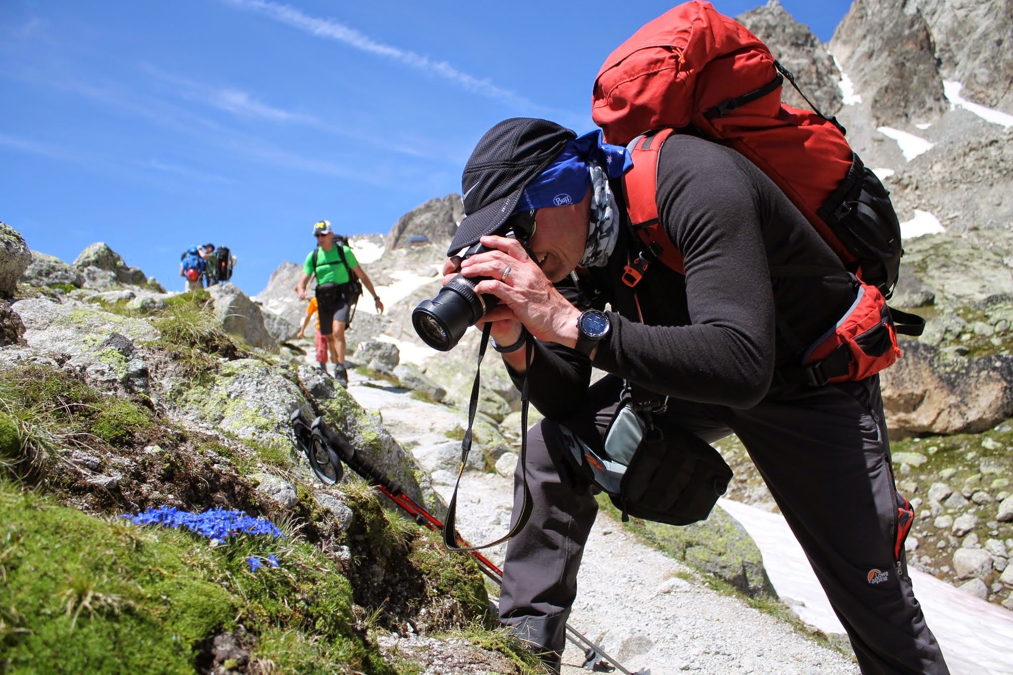 Photographing alpine flowers on the Tour du Mont Blanc trails