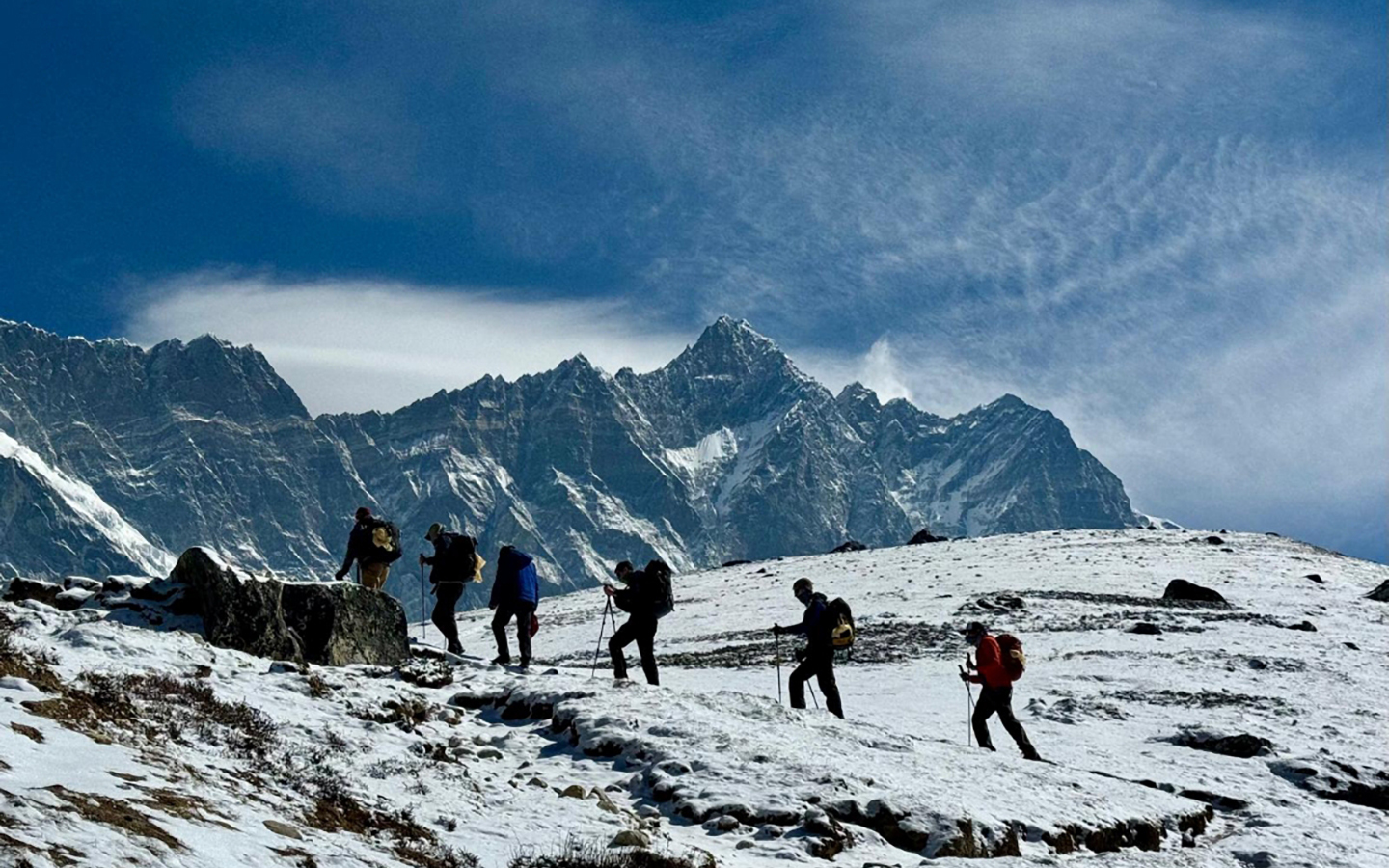 Trekking among the giants Photo Matt VH