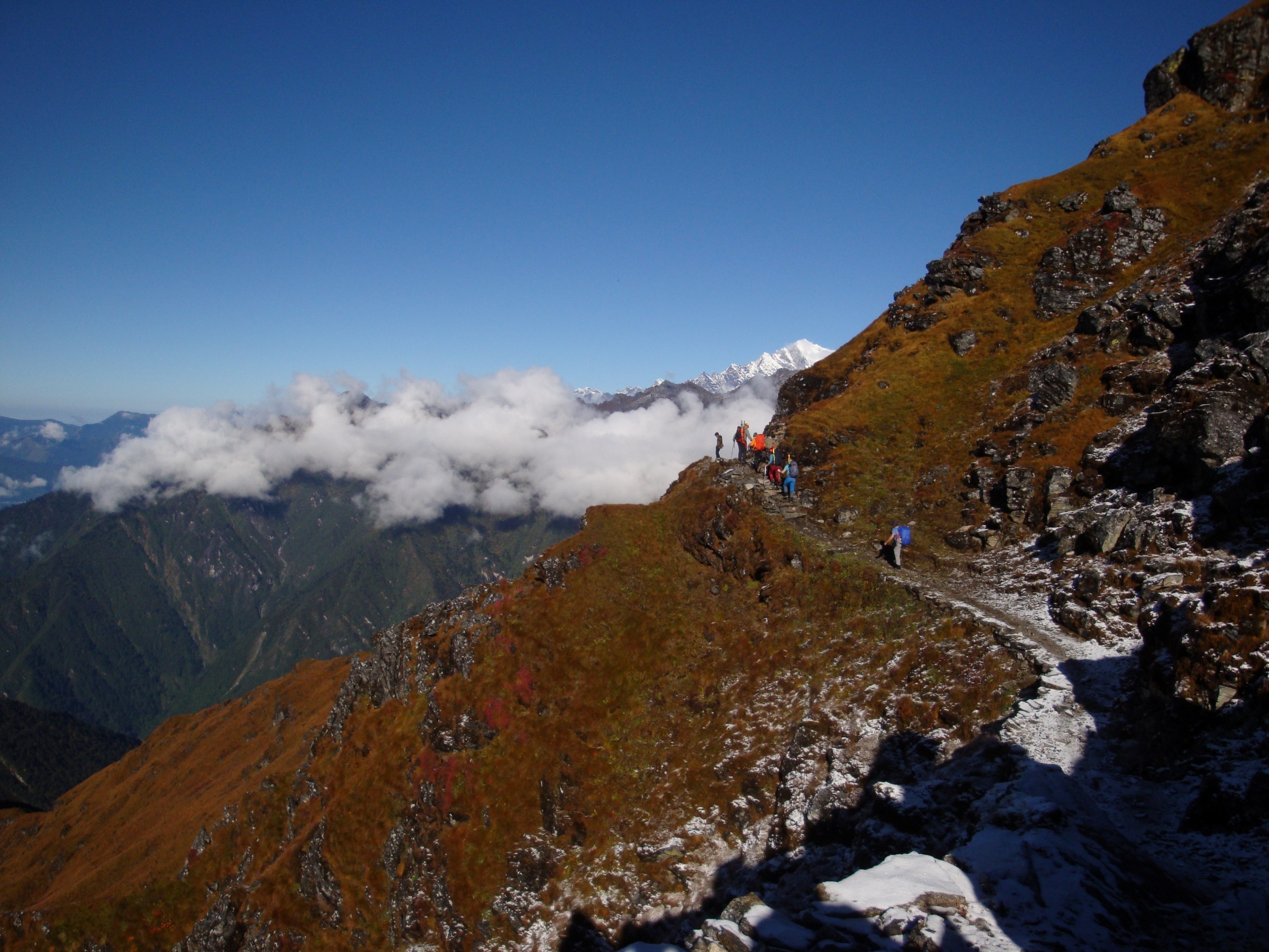 Above the forest, the trek to Mera Peak Basecamp traverses scenic trails