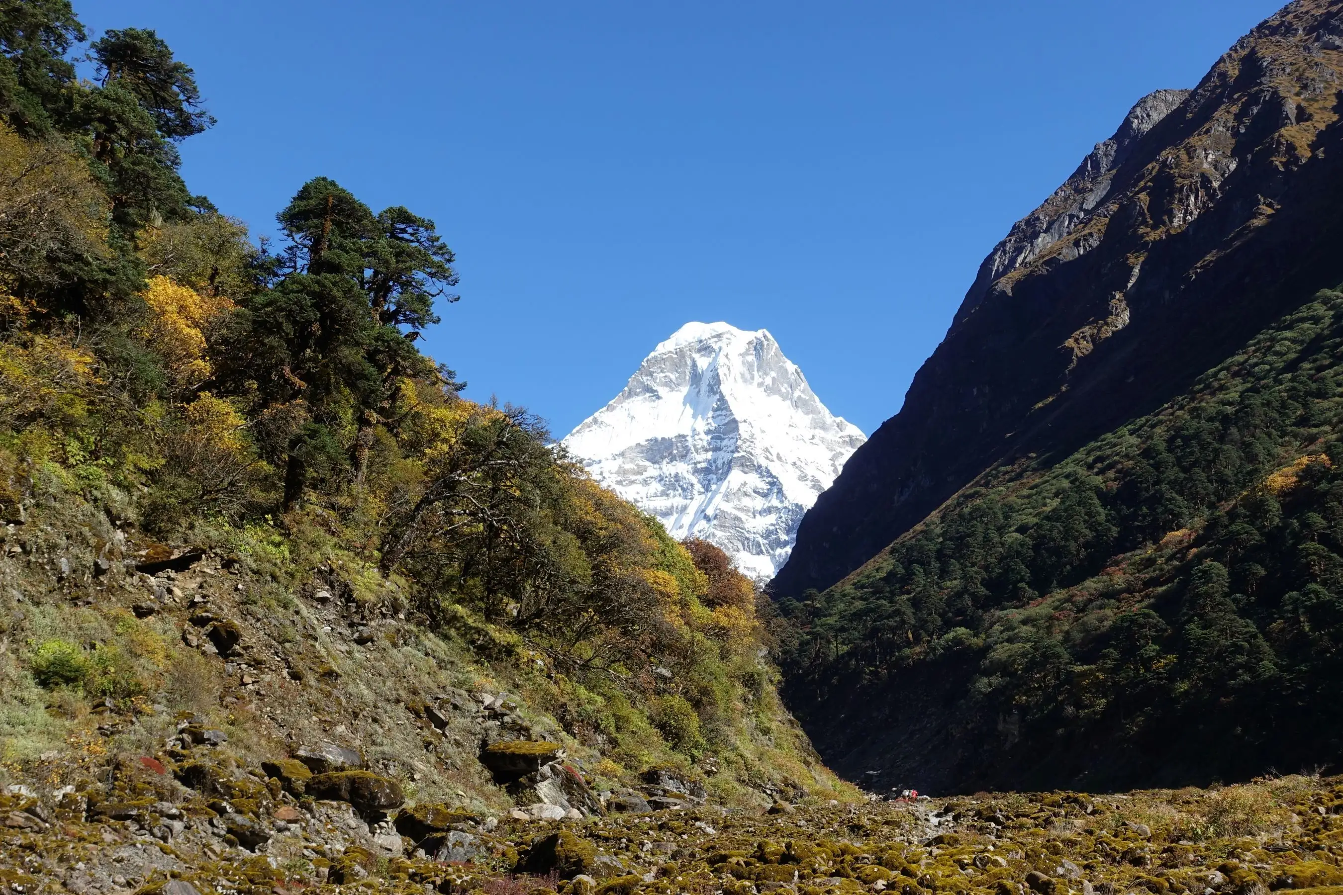 Adventure Consultants expedition photo 3