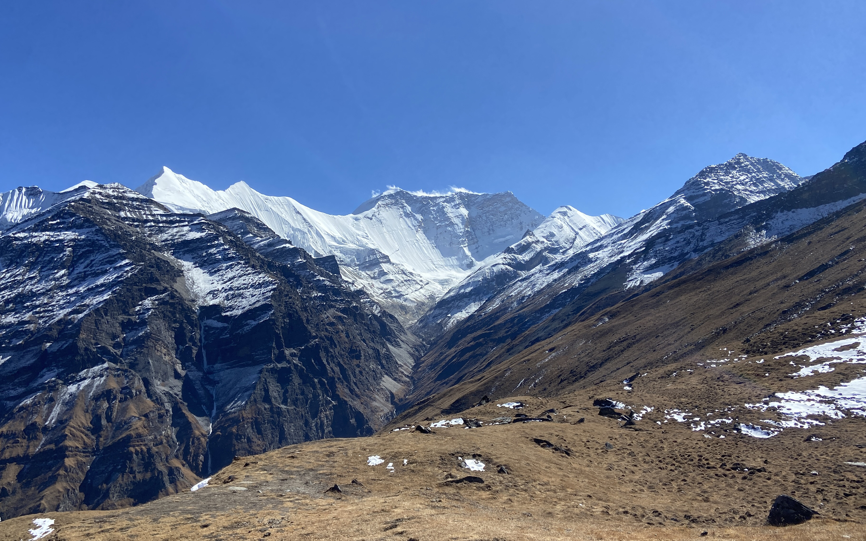 Looking up at Puth Hiunchuli on the Dhaulagiri Massif deep in the Dolpo region, alpine grass meadows in the foreground, blue sky high above.