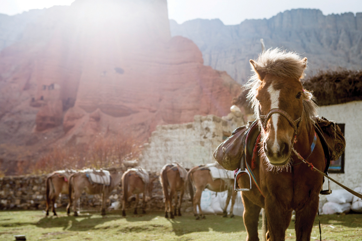 Deep into the Mustang Valley, Nepal a horse stands ready for the day trekking ahead. Red clay cliffs tower in the background.