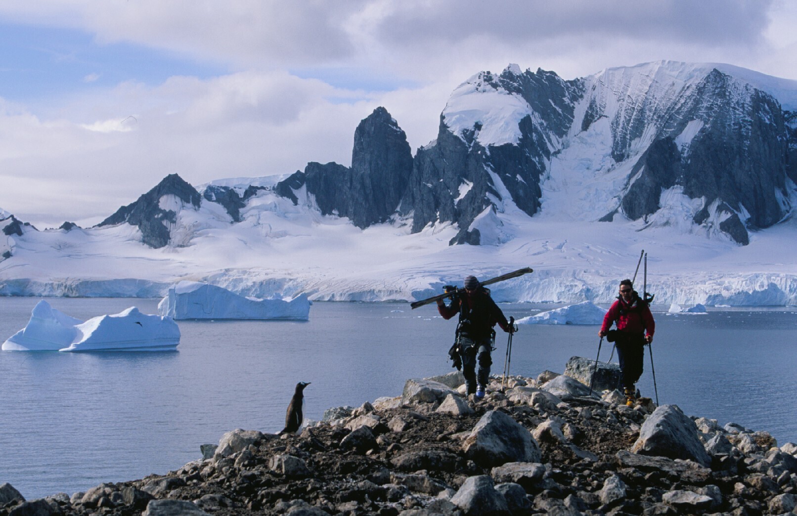 Two ski mountaineers cross rocks on the Antarctic Peninsula shoreline, passing by a penguin, icebergs float in the bay and mountains tower in the distance behind.