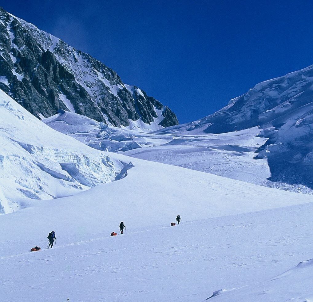 Row of climbers ascending glacier Denali