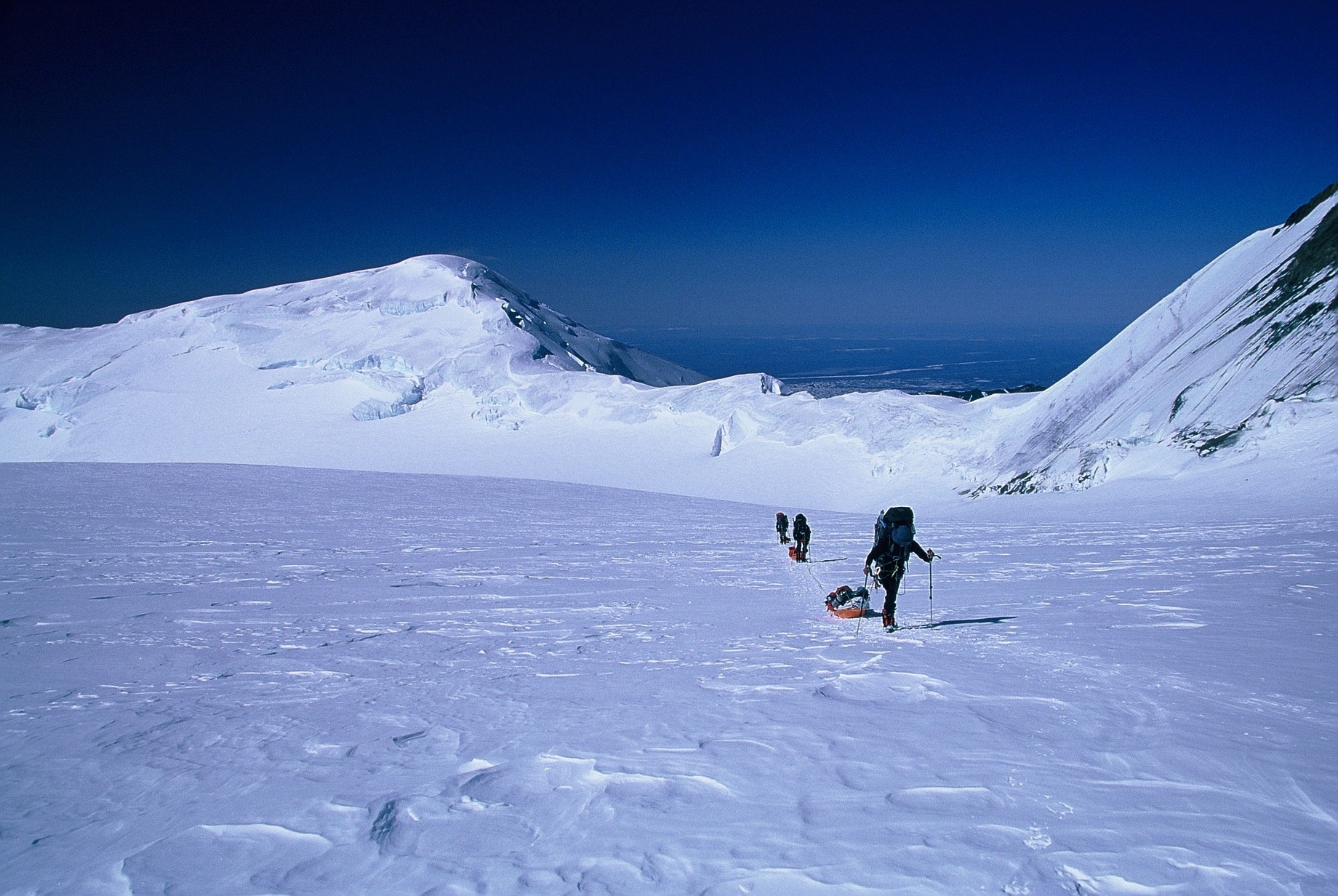 Climbers on skis dragging sleds on Denali