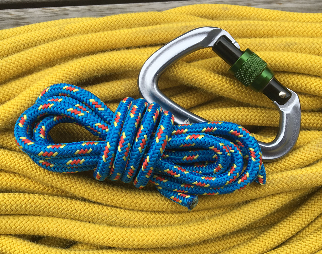 Prussick cord, rope and carabiner.
